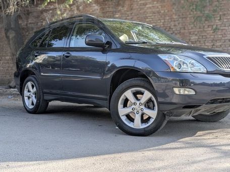Lexus RX, 2004 — photo 1