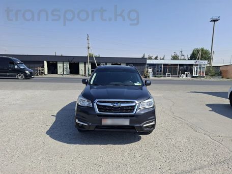 Subaru Forester, 2018 — сүрөт 1
