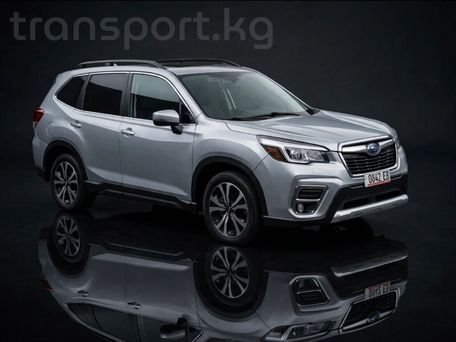 Subaru Forester, 2020 — фото 3