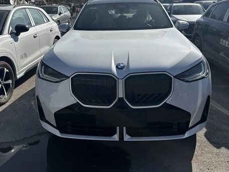 BMW X3, 2017 — фото 1