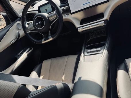 BYD Dolphin, 2025 — 照片 11
