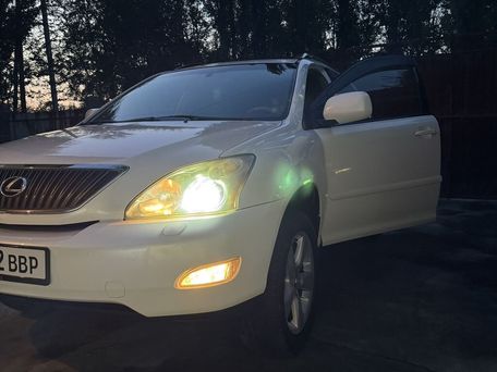 Lexus RX, 2004 — сүрөт 2