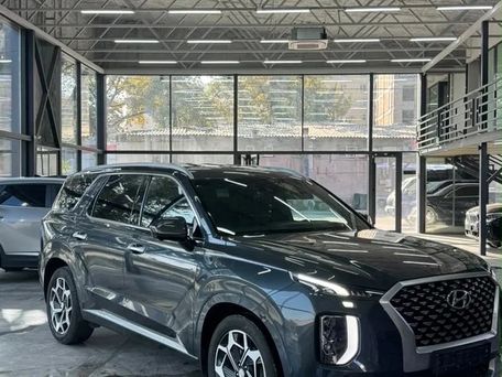 Hyundai Palisade, 2020 — фото 1