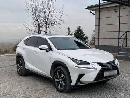 Lexus NX, 2019 — фото 2