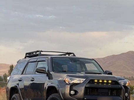 Toyota 4Runner, 2024 — фото 1