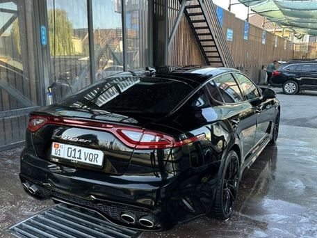 Kia Stinger, 2019 — photo 5