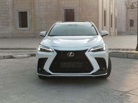 Lexus NX, 2022 — photo 1