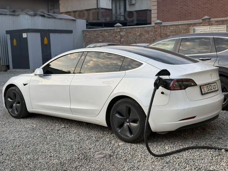Tesla Model 3, 2019 — сүрөт 2
