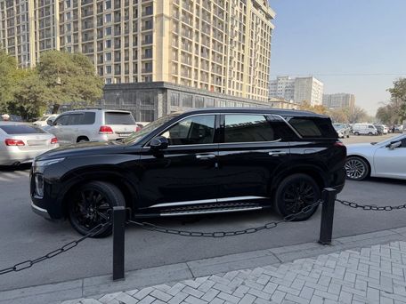 Hyundai Palisade, 2021 — photo 8