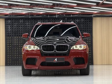 BMW X5 M, 2010 — фото 1