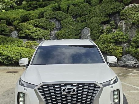 Hyundai Palisade, 2021 — фото 10