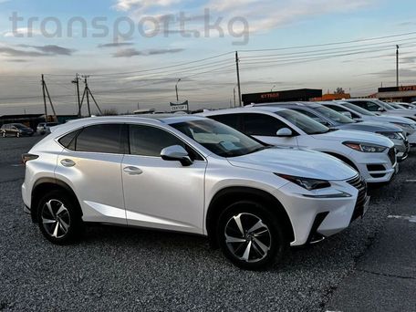 Lexus NX, 2018 — фото 5