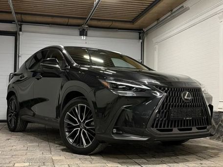Lexus NX, 2022 — photo 10