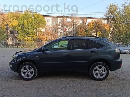Lexus RX, 2004 — 照片 8