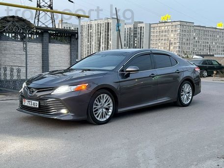 Toyota Camry, 2019 — фото 1