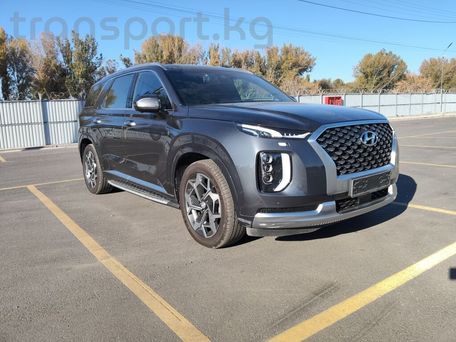Hyundai Palisade, 2020 — photo 2