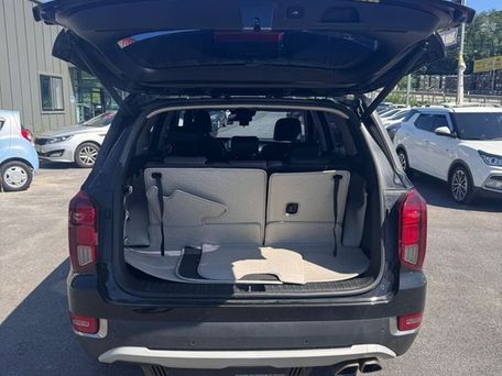 Hyundai Palisade, 2019 — photo 7