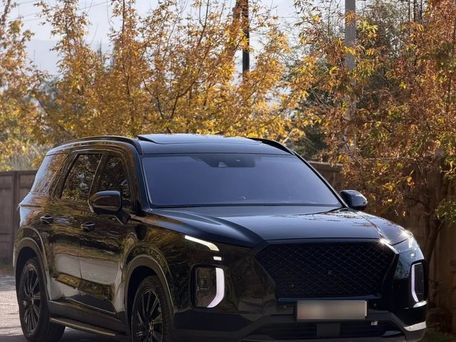 Hyundai Palisade, 2019 — 照片 1