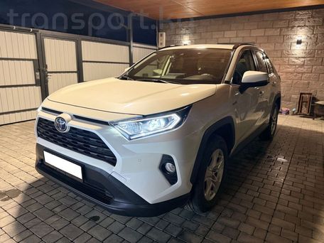 Toyota RAV4, 2020 — фото 1