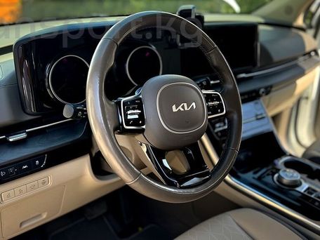 Kia Carnival, 2022 — фото 6