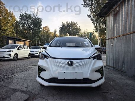 Changan Benben E-Star, 2024 — 照片 1