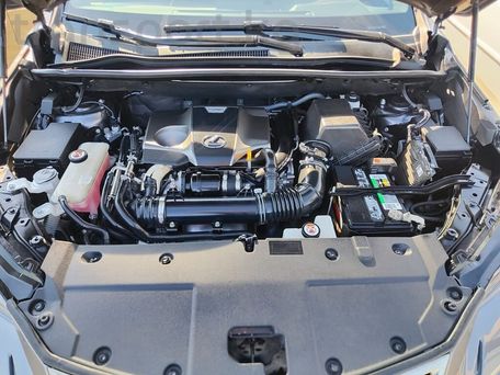 Lexus NX, 2020 — photo 11