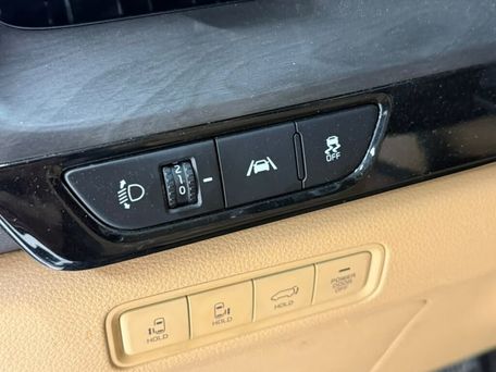 Kia Carnival, 2020 — photo 16