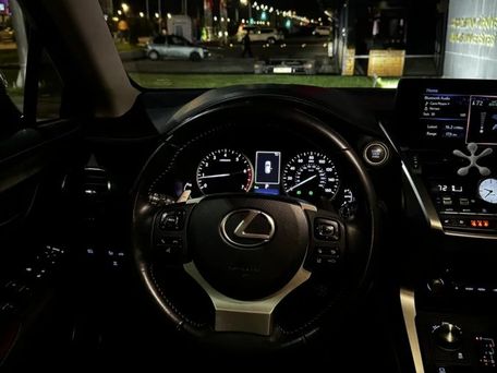 Lexus NX, 2018 — фото 7