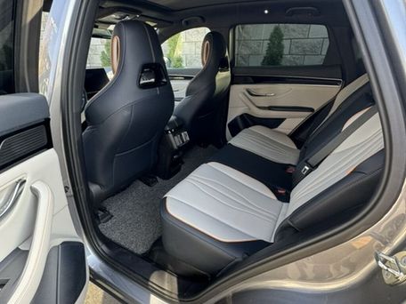 BYD Song Plus, 2024 — photo 10