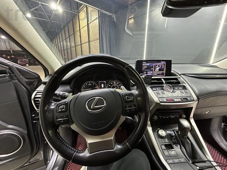 Lexus NX, 2021 — photo 9