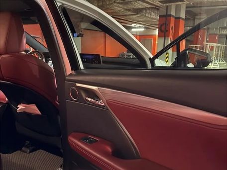 Lexus RX, 2020 — photo 8