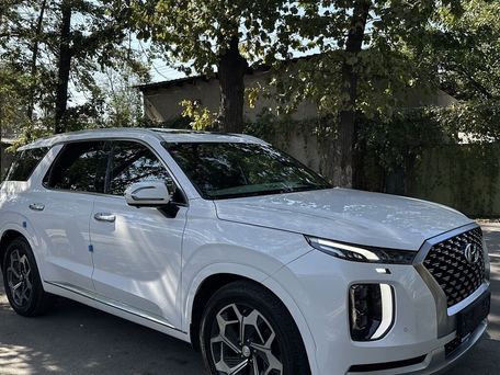 Hyundai Palisade, 2020