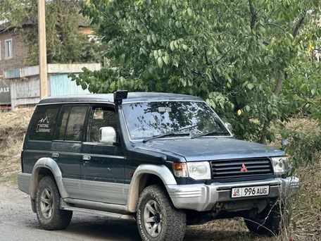Mitsubishi Pajero, 1996 — фото 2