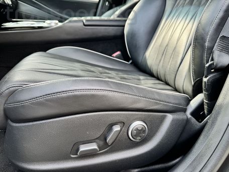 Hyundai Genesis, 2020 — сүрөт 15
