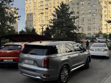 Hyundai Palisade, 2019 — 照片 3