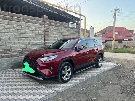 Toyota RAV4, 2020 — фото 1
