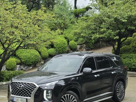 Hyundai Palisade, 2020 — сүрөт 2
