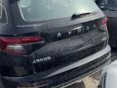 Skoda Kodiaq, 2021 — фото 2