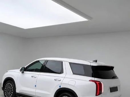 Hyundai Palisade, 2019 — 照片 5