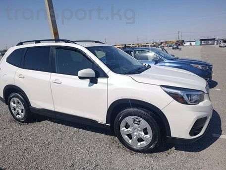 Subaru Forester, 2020 — 照片 2