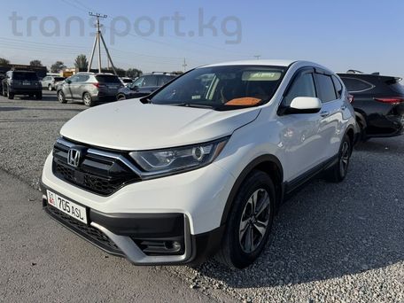 Honda CR-V, 2019 — фото 2