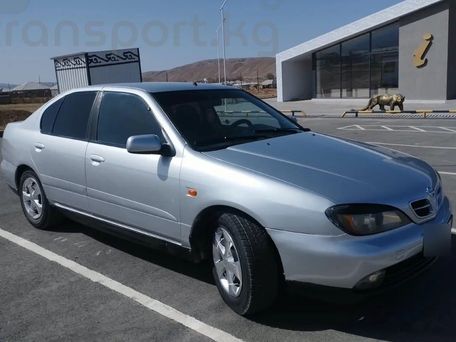 Nissan Primera, 2003 — фото 8