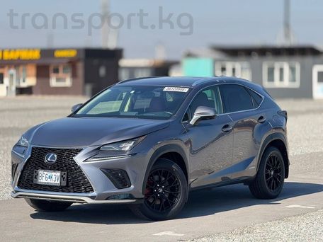 Lexus NX, 2019 — фото 2