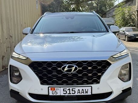 Hyundai Santa Fe, 2020 — фото 4