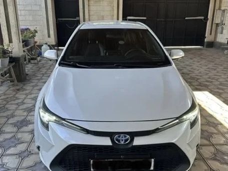 Toyota Levin, 2021 — сүрөт 1