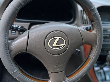 Lexus RX, 2002 — 照片 12