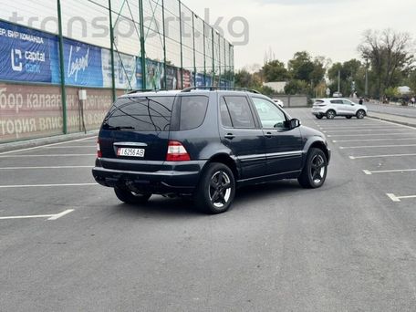 Mercedes-Benz M-Класс, 2003 — фото 5