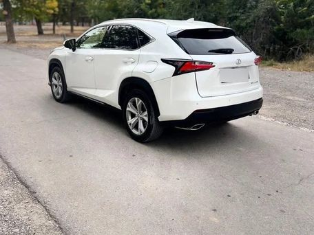 Lexus NX, 2021 — фото 4