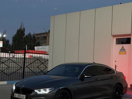 BMW 4 серии, 2018 — фото 2