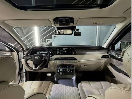 Hyundai Palisade, 2021 — сүрөт 6